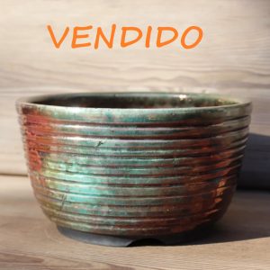 Maceta para Bonsai RAKU F, tamaño mediano